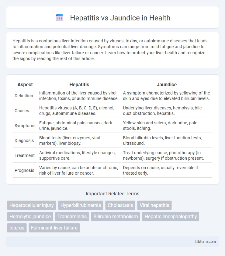 Jaundice vs Hepatitis in Health - What is The Difference?