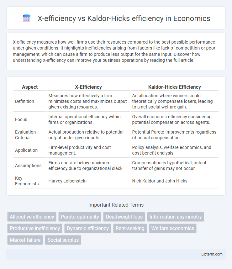 Kaldor-Hicks efficiency vs X-efficiency in Economics - What is The Difference?