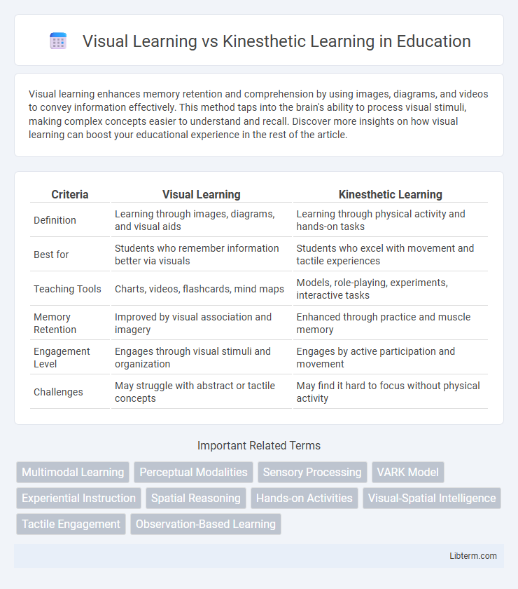 Kinesthetic Learning vs Visual Learning in Education - What is The Difference?