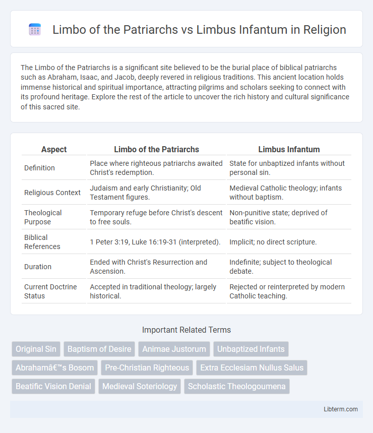 Limbus Infantum vs Limbo of the Patriarchs in Religion - What is The Difference?