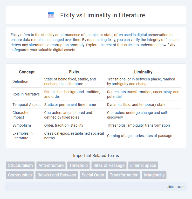 Liminality vs Fixity in Literature - What is The Difference?