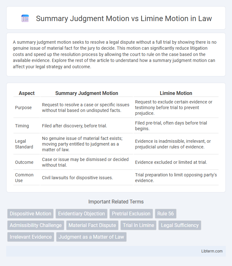 Limine Motion vs Summary Judgment Motion in Law - What is The Difference?