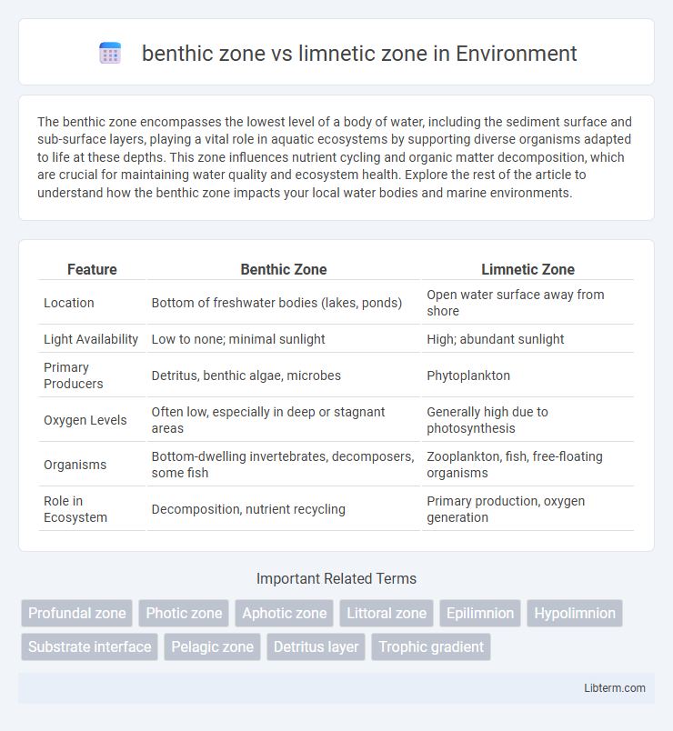 limnetic zone vs benthic zone in Environment - What is The Difference?