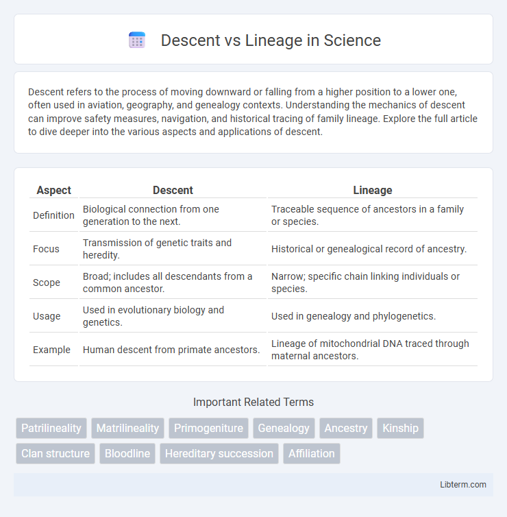 Lineage vs Descent in Science - What is The Difference?