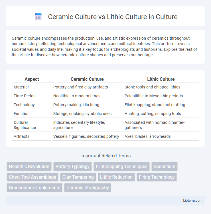 Lithic Culture vs Ceramic Culture in Culture - What is The Difference?