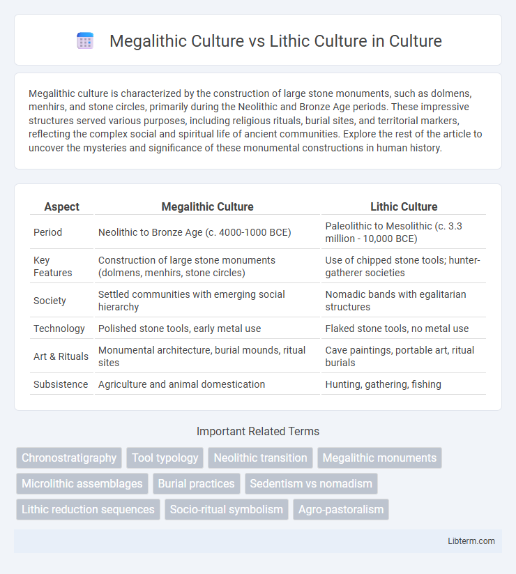 Lithic Culture vs Megalithic Culture in Culture - What is The Difference?