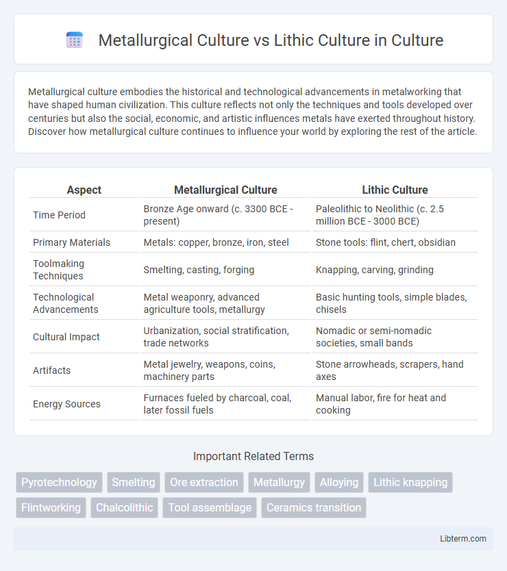 Lithic Culture vs Metallurgical Culture in Culture - What is The Difference?