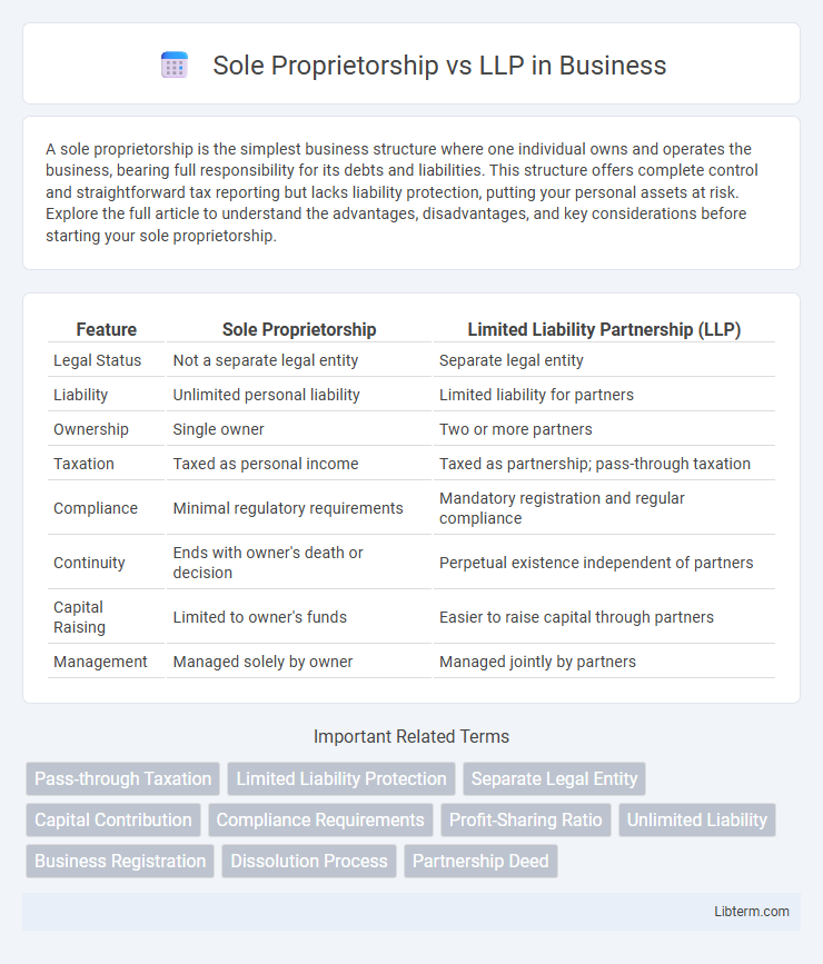LLP vs Sole Proprietorship in Business - What is The Difference?