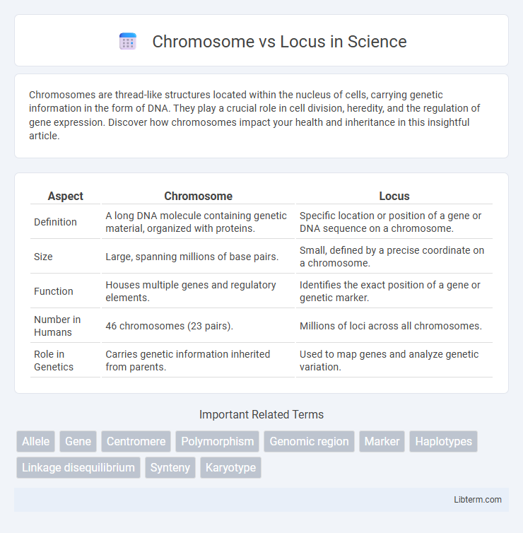 Locus vs Chromosome in Science - What is The Difference?
