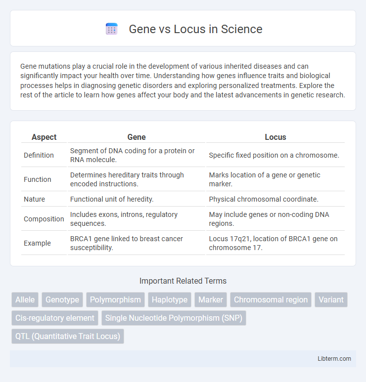 Locus vs Gene in Science - What is The Difference?