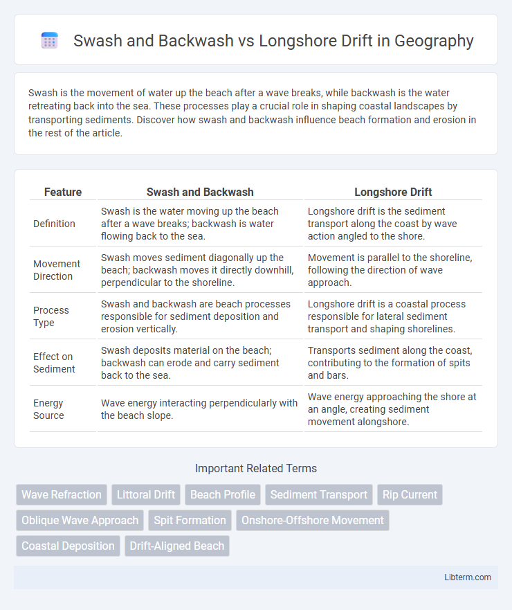 Longshore Drift vs Swash and Backwash in Geography - What is The Difference?