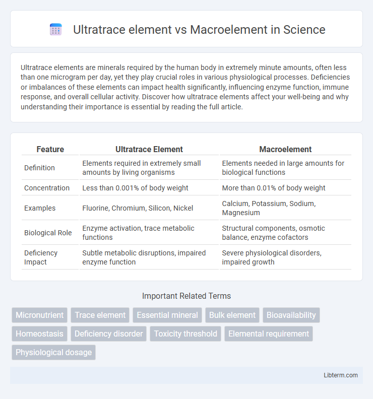 Macroelement vs Ultratrace element in Science - What is The Difference?