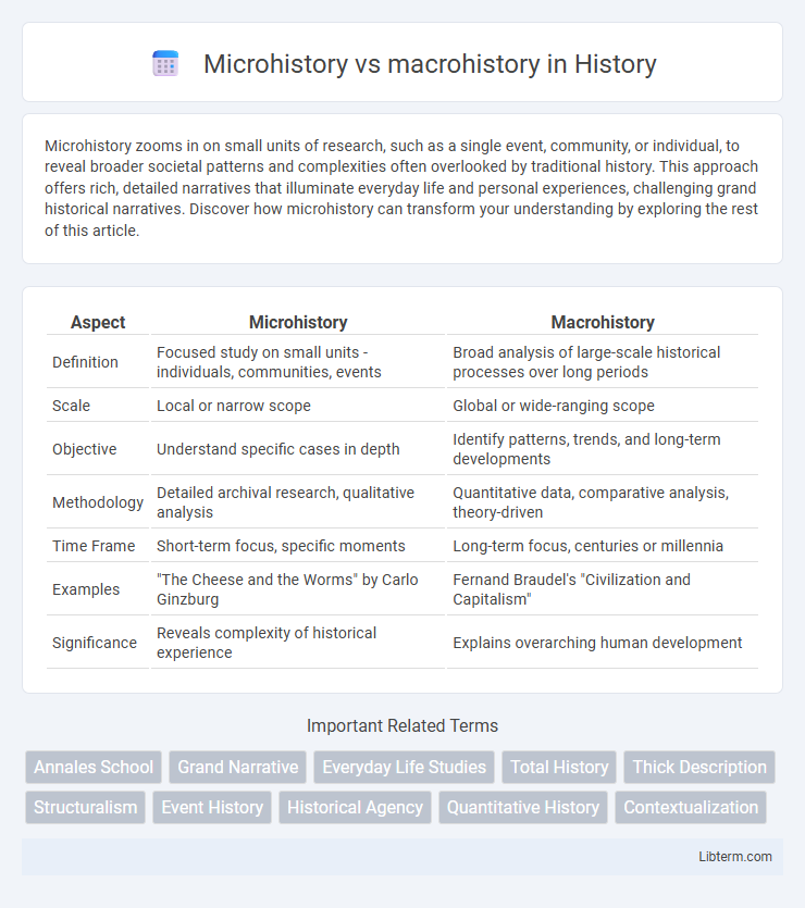 macrohistory vs Microhistory in History - What is The Difference?
