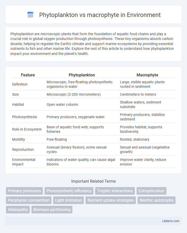 macrophyte vs Phytoplankton in Environment - What is The Difference?