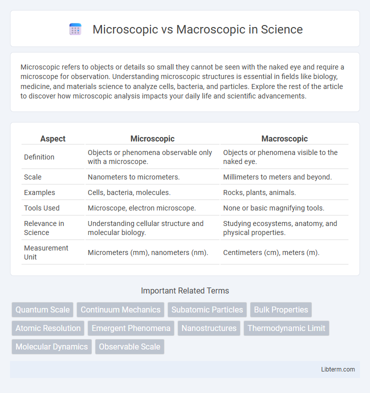 Macroscopic vs Microscopic in Science - What is The Difference?