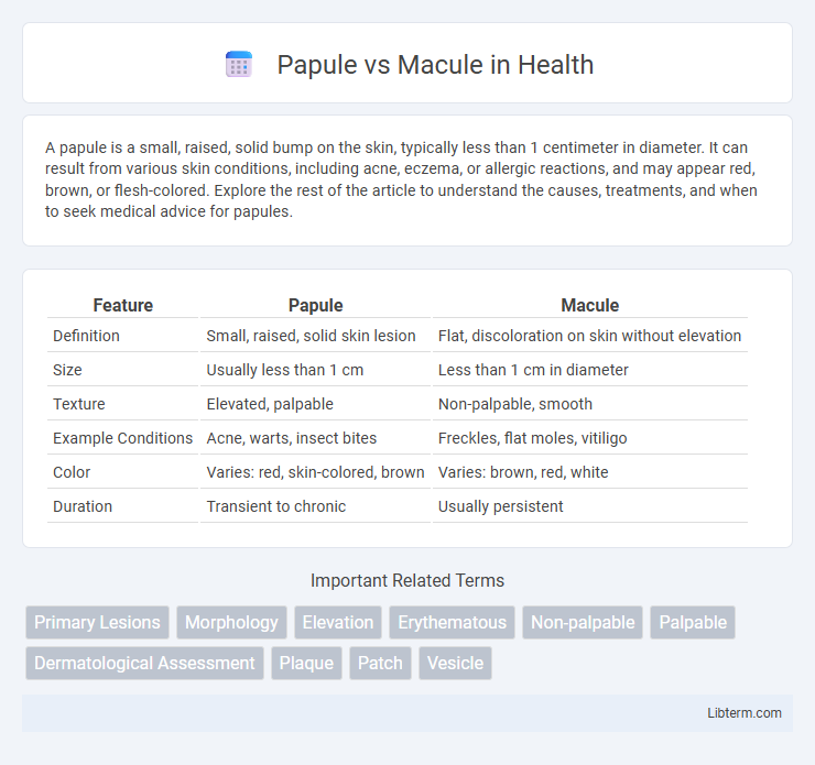 Macule vs Papule in Health - What is The Difference?