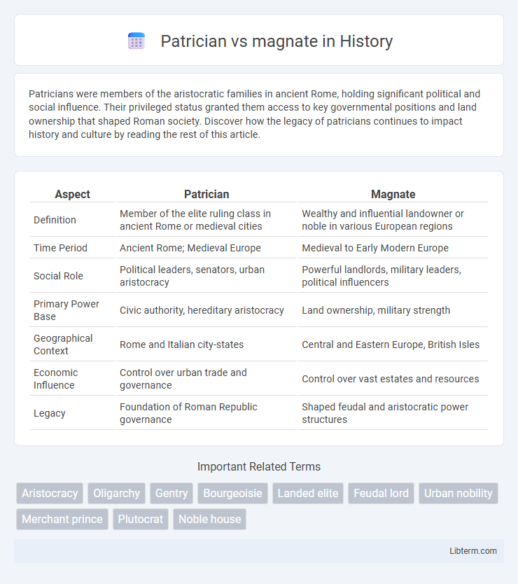 magnate vs Patrician in History - What is The Difference?