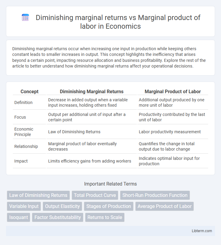 Marginal product of labor vs Diminishing marginal returns in Economics - What is The Difference?