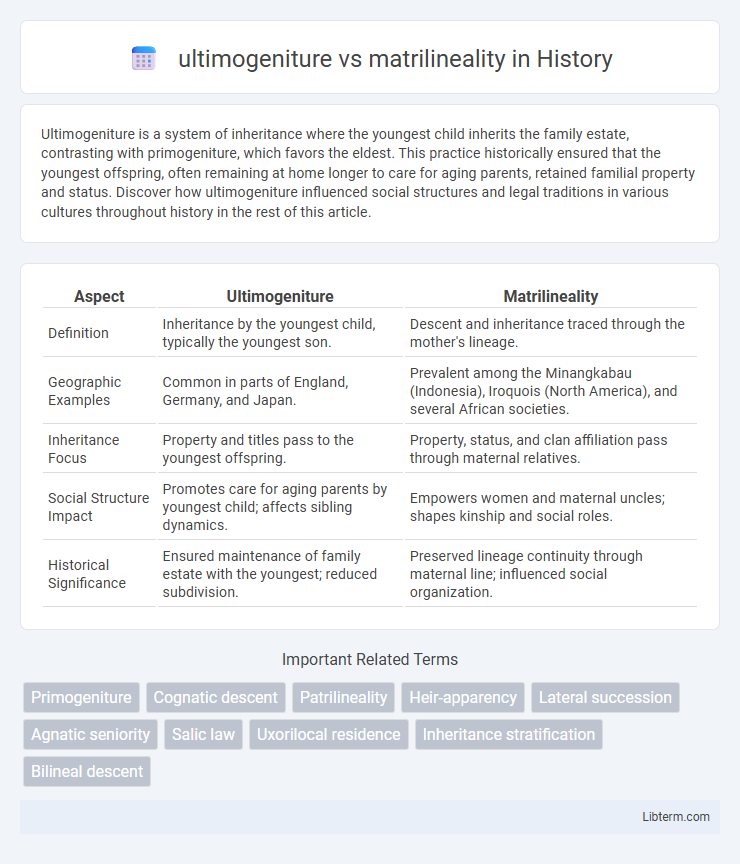 matrilineality vs ultimogeniture in History - What is The Difference?