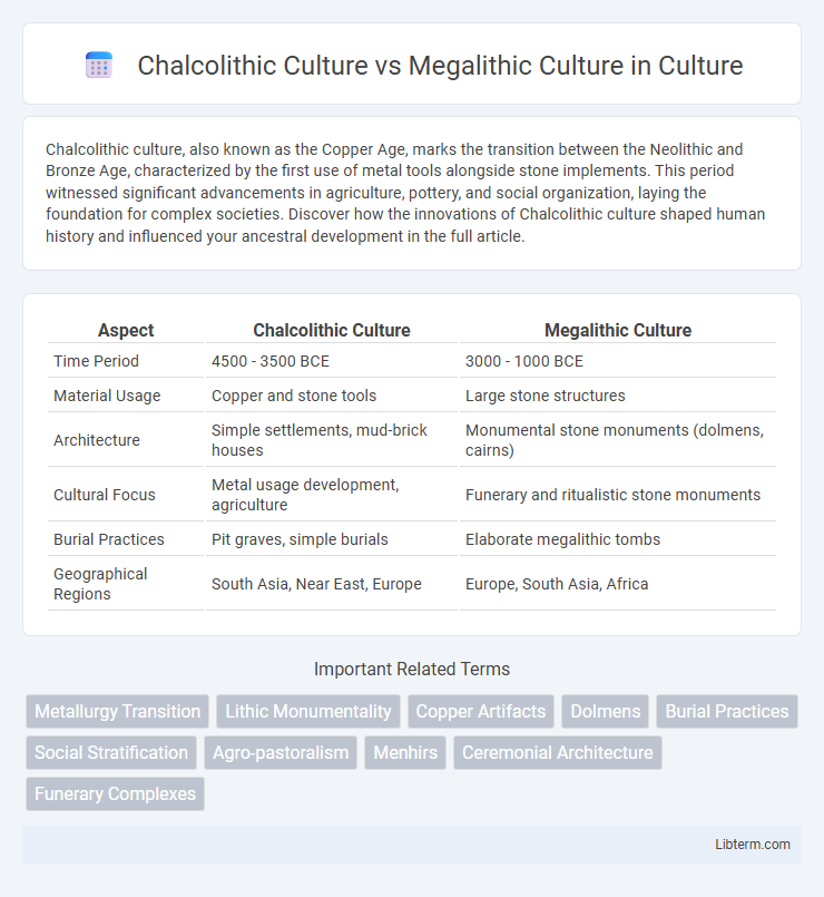 Megalithic Culture vs Chalcolithic Culture in Culture - What is The Difference?