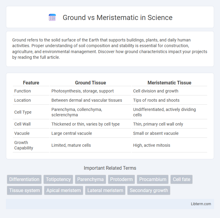 Meristematic vs Ground in Science - What is The Difference?
