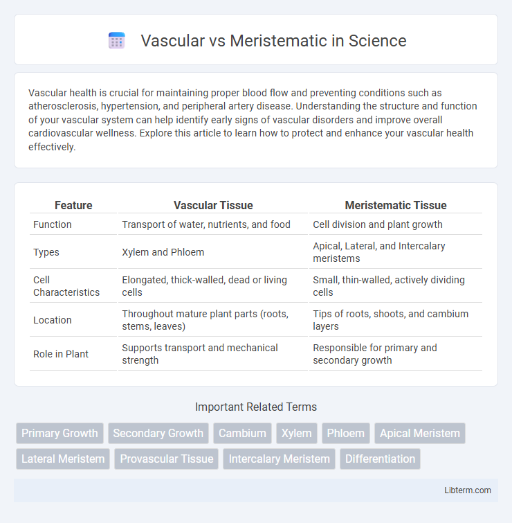 Meristematic vs Vascular in Science - What is The Difference?