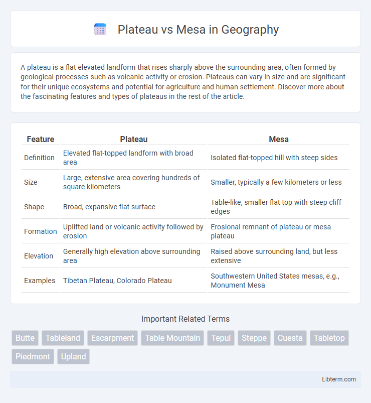 Mesa vs Plateau in Geography - What is The Difference?