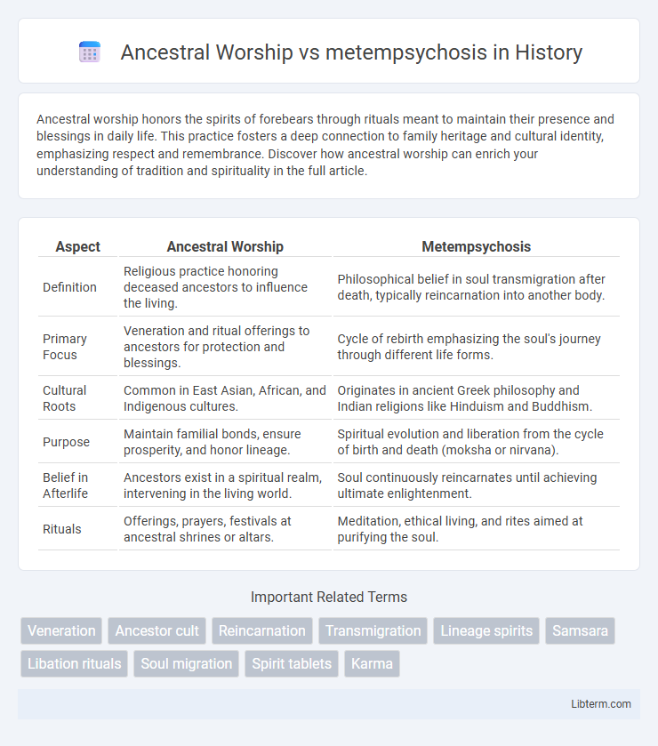 metempsychosis vs Ancestral Worship in History - What is The Difference?