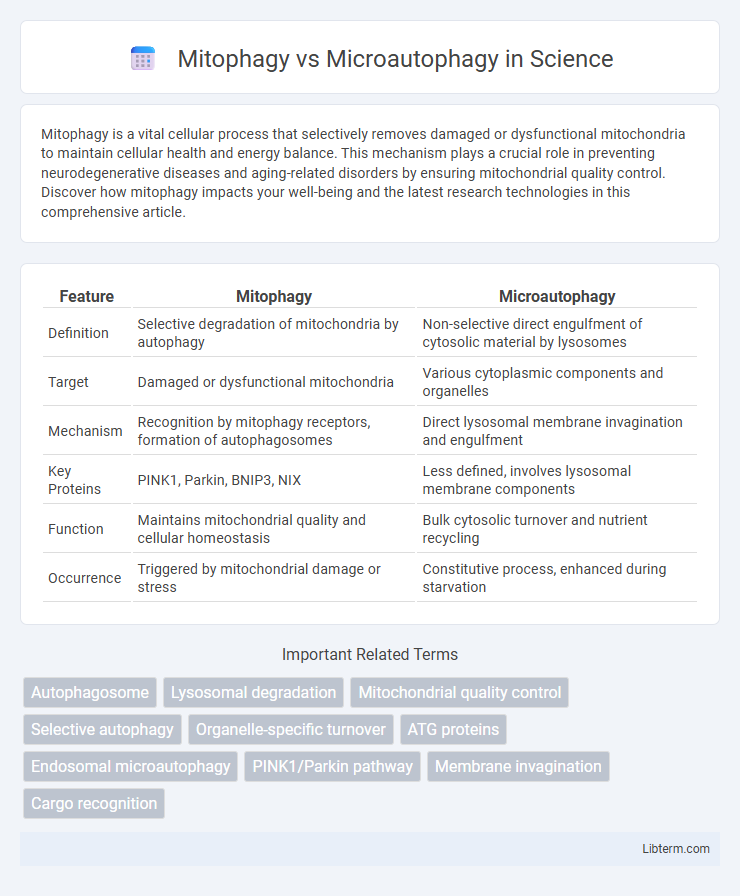 Microautophagy vs Mitophagy in Science - What is The Difference?