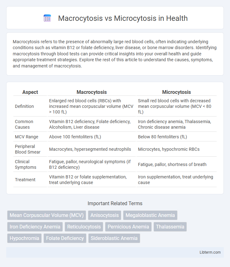 Microcytosis vs Macrocytosis in Health - What is The Difference?