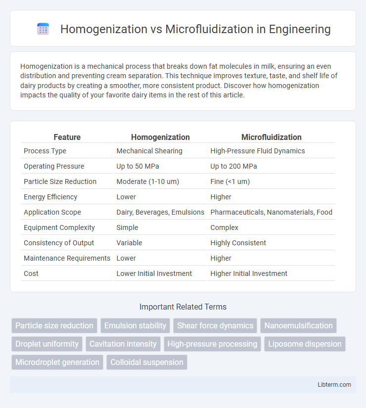Microfluidization vs Homogenization in Engineering - What is The Difference?