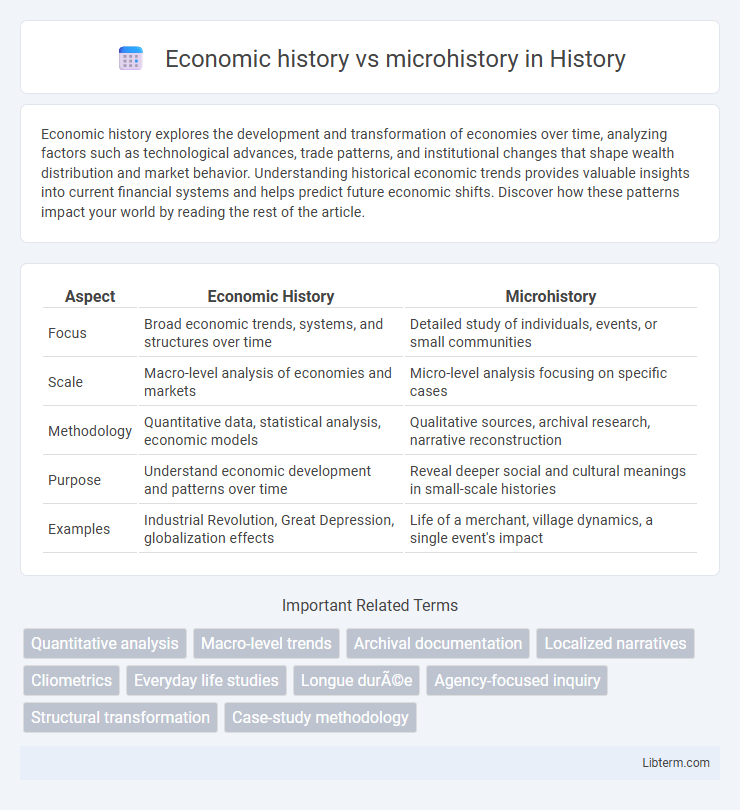 microhistory vs Economic history in History - What is The Difference?