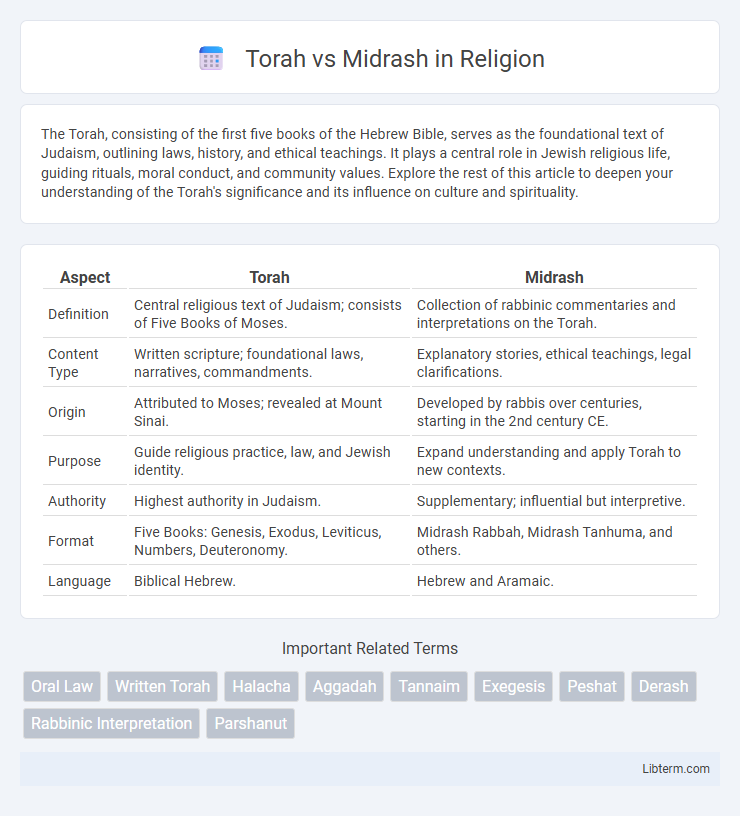 Midrash vs Torah in Religion - What is The Difference?