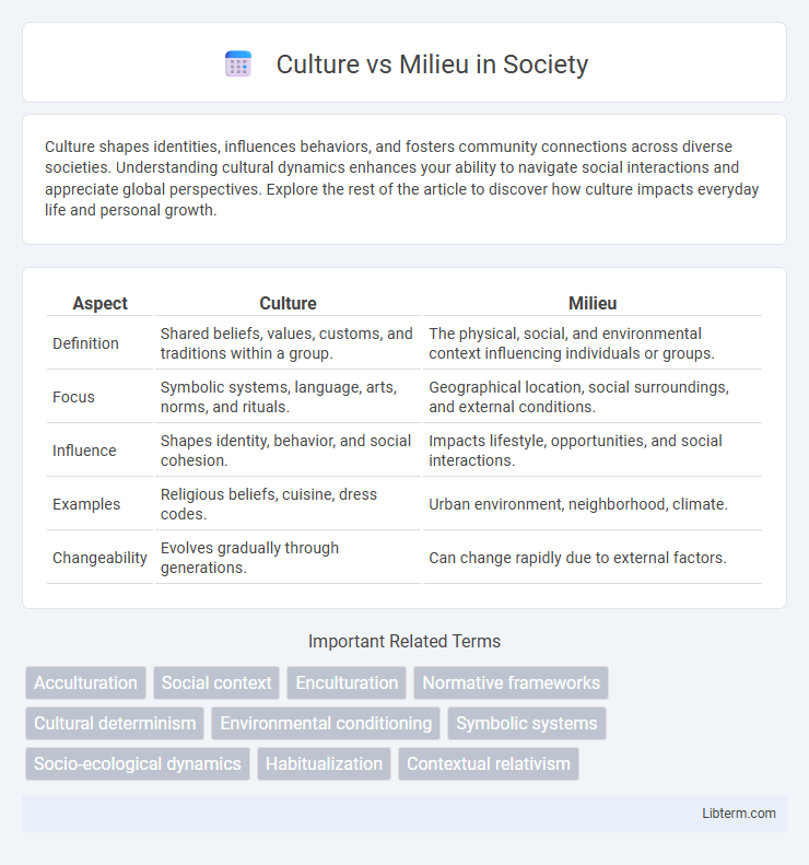 Milieu vs Culture in Society - What is The Difference?