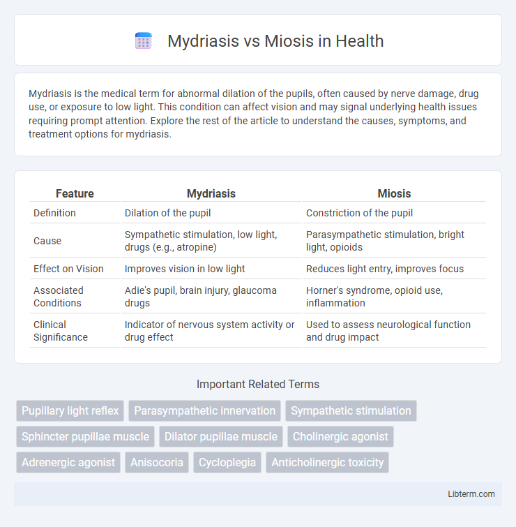 Miosis vs Mydriasis in Health - What is The Difference?