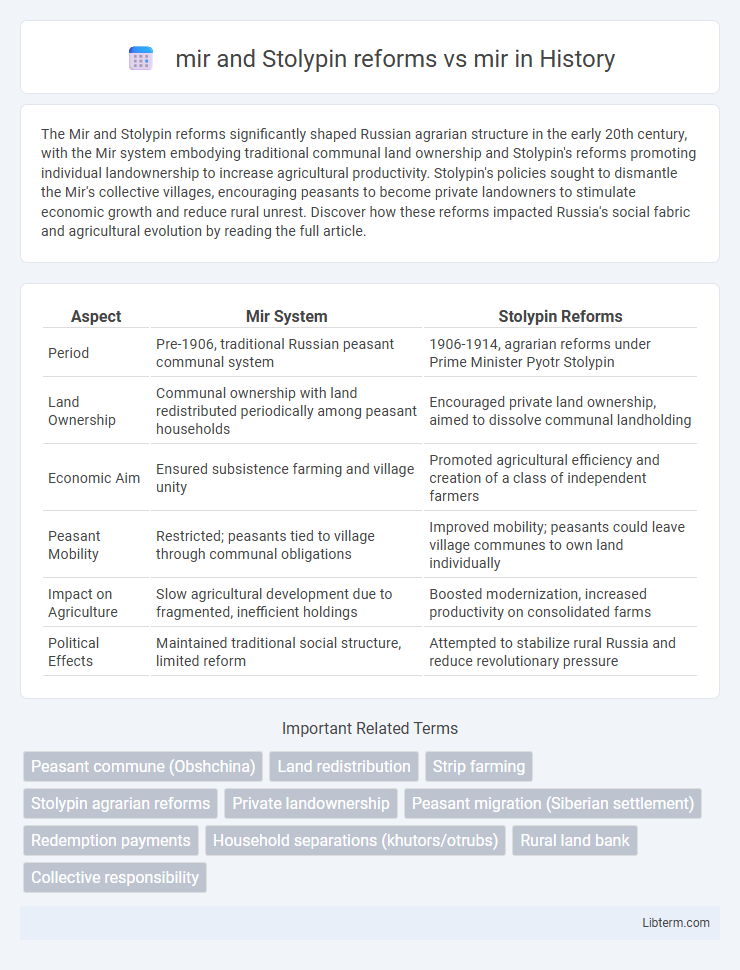 mir vs mir and Stolypin reforms in History - What is The Difference?