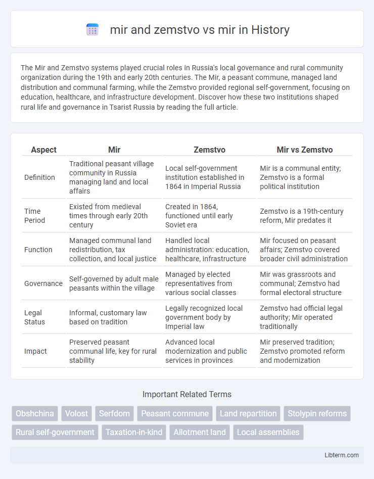 mir vs mir and zemstvo in History - What is The Difference?