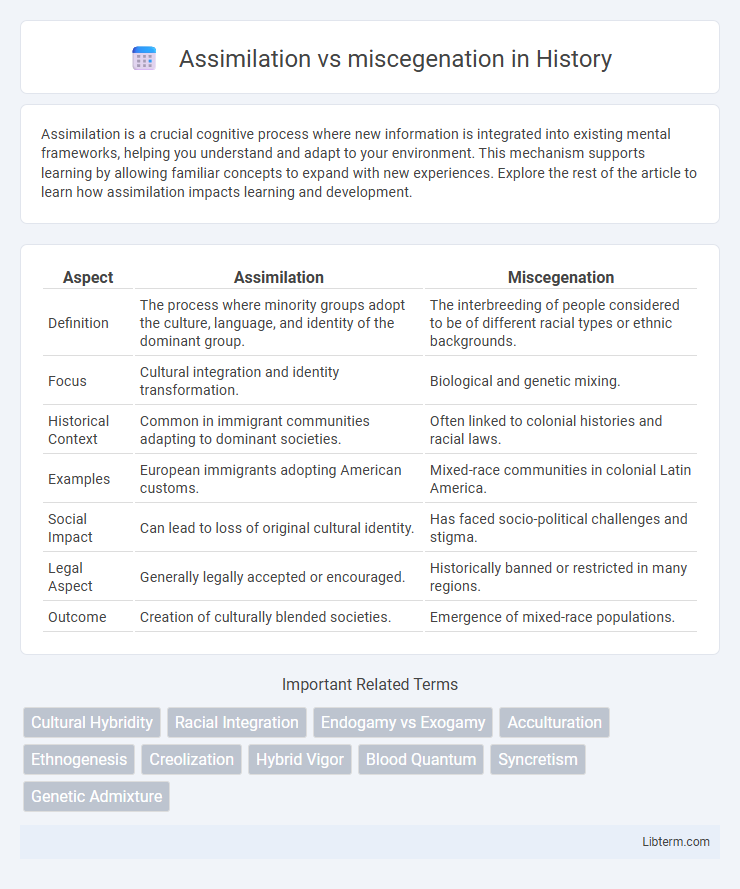 miscegenation vs Assimilation in History - What is The Difference?