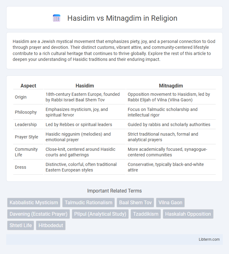 Mitnagdim vs Hasidim in Religion - What is The Difference?