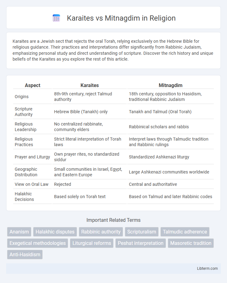 Mitnagdim vs Karaites in Religion - What is The Difference?