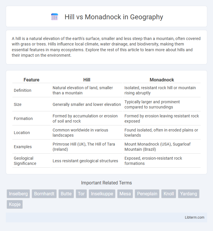Monadnock vs Hill in Geography - What is The Difference?
