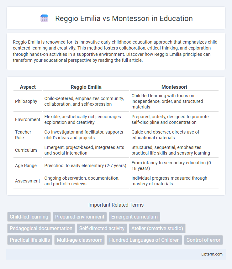 Montessori vs Reggio Emilia in Education - What is The Difference?