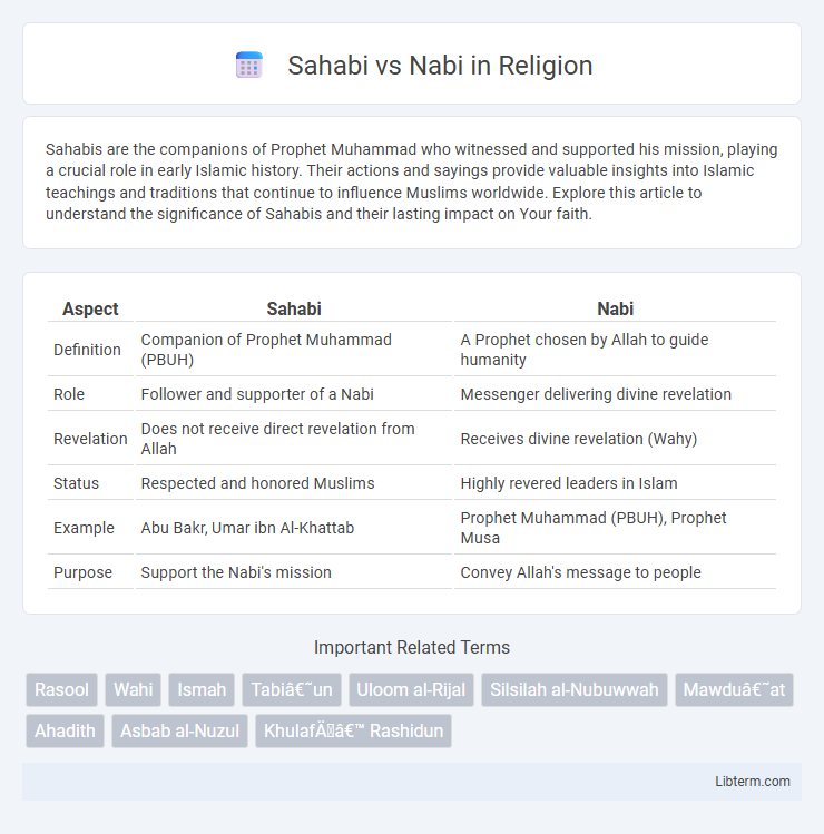 Nabi vs Sahabi in Religion - What is The Difference?