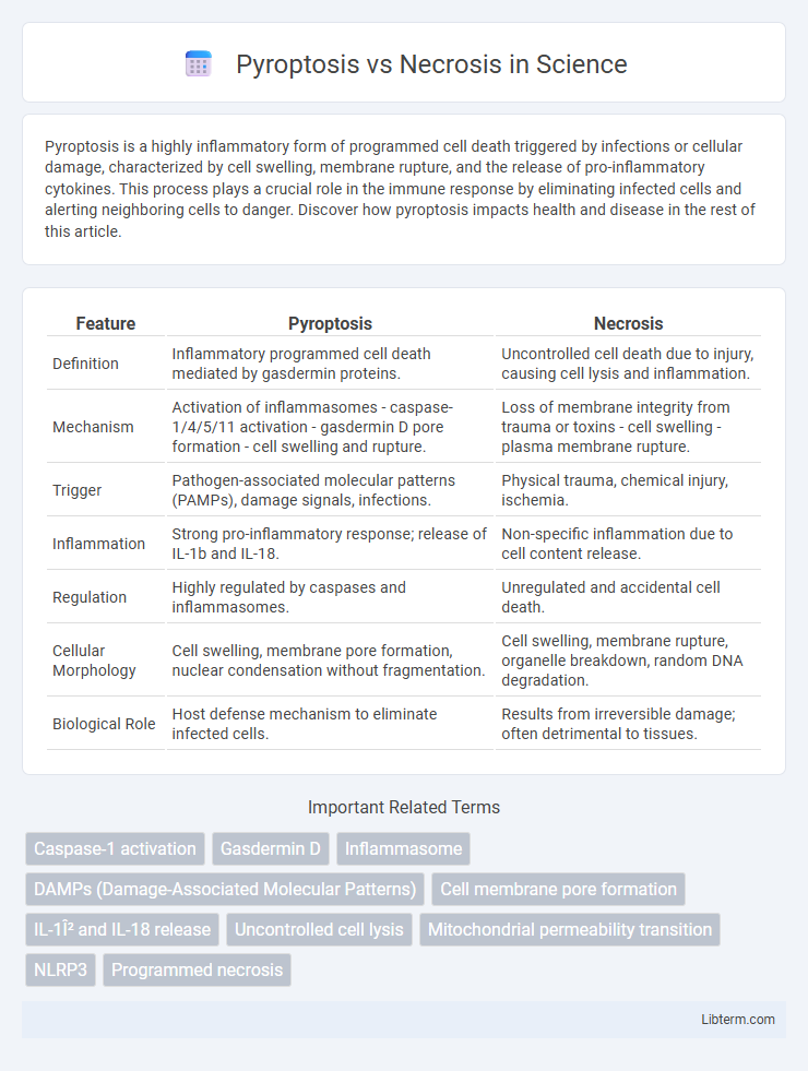 Necrosis vs Pyroptosis in Science - What is The Difference?