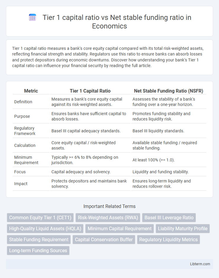 Net stable funding ratio vs Tier 1 capital ratio in Economics - What is The Difference?
