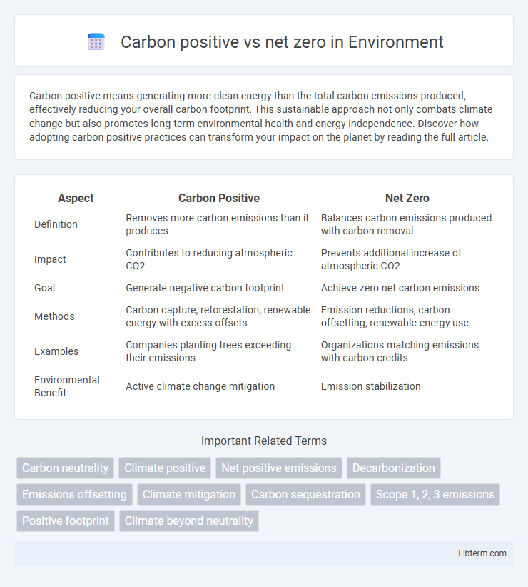 net zero vs Carbon positive in Environment - What is The Difference?