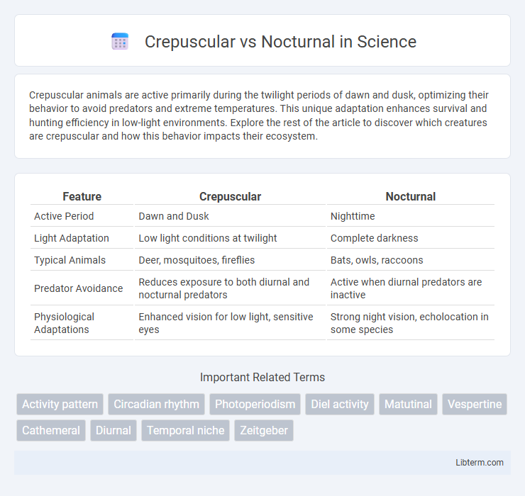 Nocturnal vs Crepuscular in Science - What is The Difference?