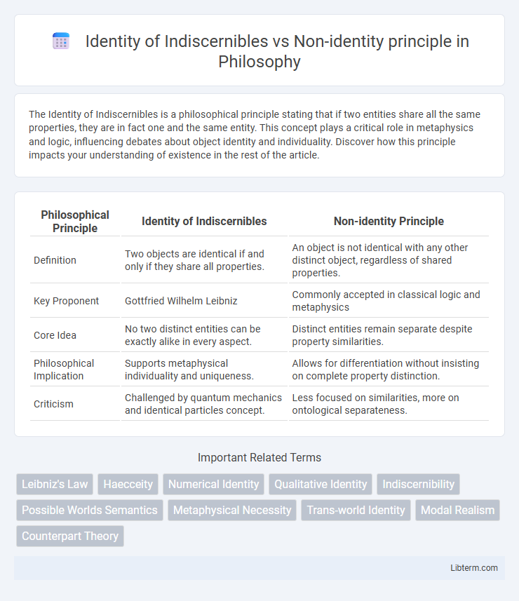 Non-identity principle vs Identity of Indiscernibles in Philosophy - What is The Difference?