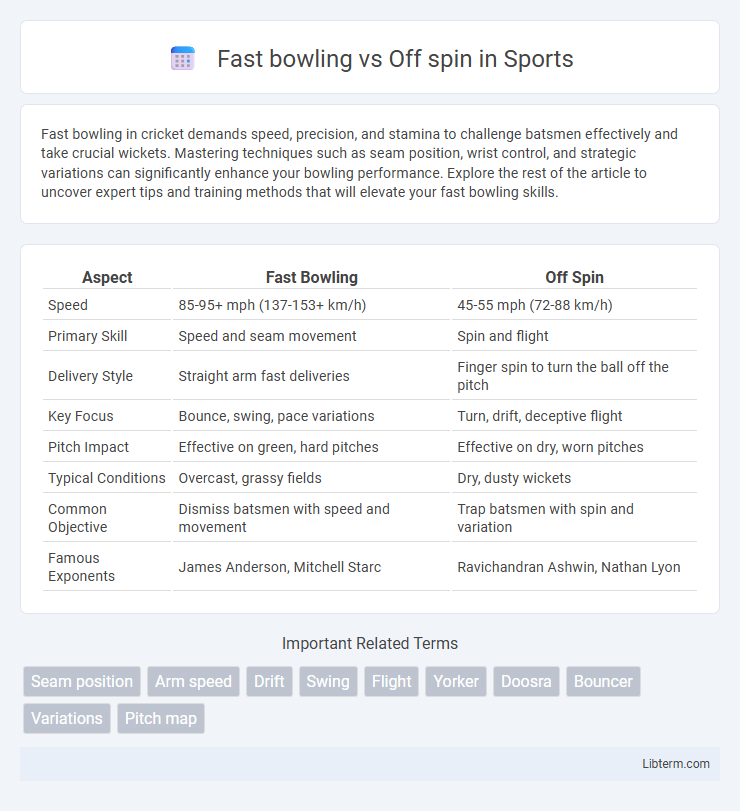 Off spin vs Fast bowling in Sports - What is The Difference?