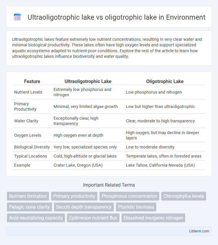 oligotrophic lake vs Ultraoligotrophic lake in Environment - What is The Difference?